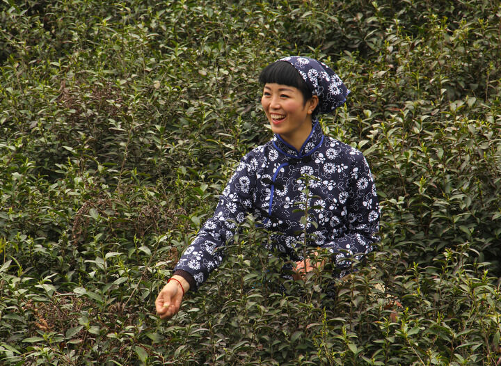 doshow 致命香烟